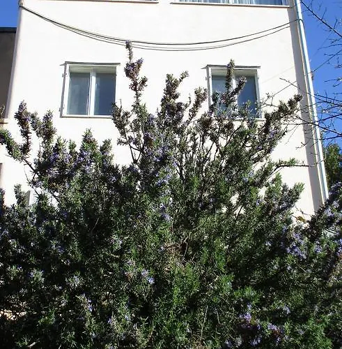 Apartmán Laganini Split